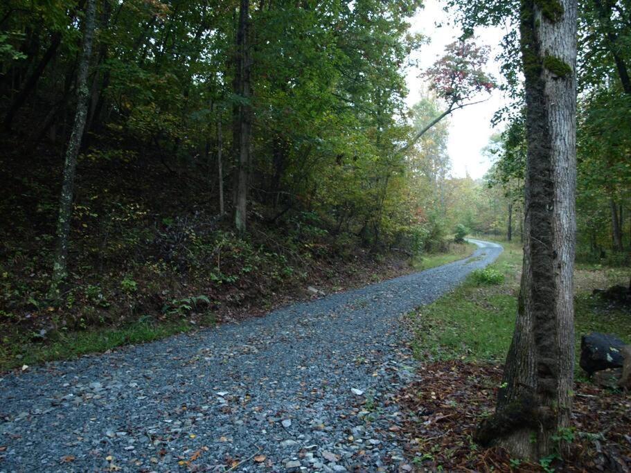 Our Private Wooded Cabin Chatham Bagian luar foto